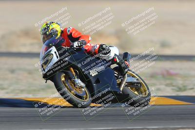 media/Feb-04-2023-SoCal Trackdays (Sat) [[8a776bf2c3]]/Turn 4 (Tree of Life 2pm)/